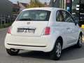 Fiat 500 500 1.2i*CLIMA*JANTES* garantie 12M* Wit - thumbnail 8