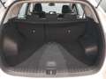 Hyundai TUCSON 1.6 crdi 48V Exellence 4wd 136cv *AUTOMATICA* Wit - thumbnail 11