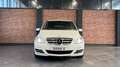 Mercedes-Benz B 180 BlueEFFICIENCY BI-XENON*SHZ*PANORAMA*LEDER Weiß - thumbnail 2