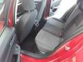 Volkswagen Golf VIII 2.0 TDI LED+MF-Lenkrad+DiCockpit Rot - thumbnail 5