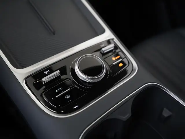 Geely Starray Em-I view 10