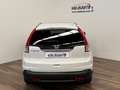 Honda CR-V 2.2 i-DTEC Luxury Blanco - thumbnail 6