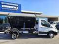 Ford Transit 350 2.0 EcoB.130CV RWD PL-RG Cas.Rib.Trilaterale Bianco - thumbnail 11