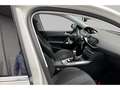Peugeot 308 allure Білий - thumbnail 8