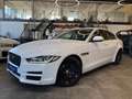 Jaguar XE Pure Lim. *NAVI*360°KAMERA*TEMPO*BI-XENON*PDC Weiß - thumbnail 16