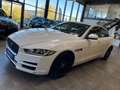 Jaguar XE Pure Lim. *NAVI*360°KAMERA*TEMPO*BI-XENON*PDC Weiß - thumbnail 24