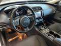 Jaguar XE Pure Lim. *NAVI*360°KAMERA*TEMPO*BI-XENON*PDC Weiß - thumbnail 41