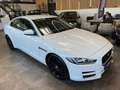 Jaguar XE Pure Lim. *NAVI*360°KAMERA*TEMPO*BI-XENON*PDC Weiß - thumbnail 21