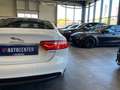 Jaguar XE Pure Lim. *NAVI*360°KAMERA*TEMPO*BI-XENON*PDC Weiß - thumbnail 30