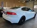 Jaguar XE Pure Lim. *NAVI*360°KAMERA*TEMPO*BI-XENON*PDC Weiß - thumbnail 4