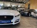 Jaguar XE Pure Lim. *NAVI*360°KAMERA*TEMPO*BI-XENON*PDC Weiß - thumbnail 22