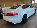 Jaguar XE Pure Lim. *NAVI*360°KAMERA*TEMPO*BI-XENON*PDC Weiß - thumbnail 18