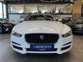 Jaguar XE Pure Lim. *NAVI*360°KAMERA*TEMPO*BI-XENON*PDC Weiß - thumbnail 2