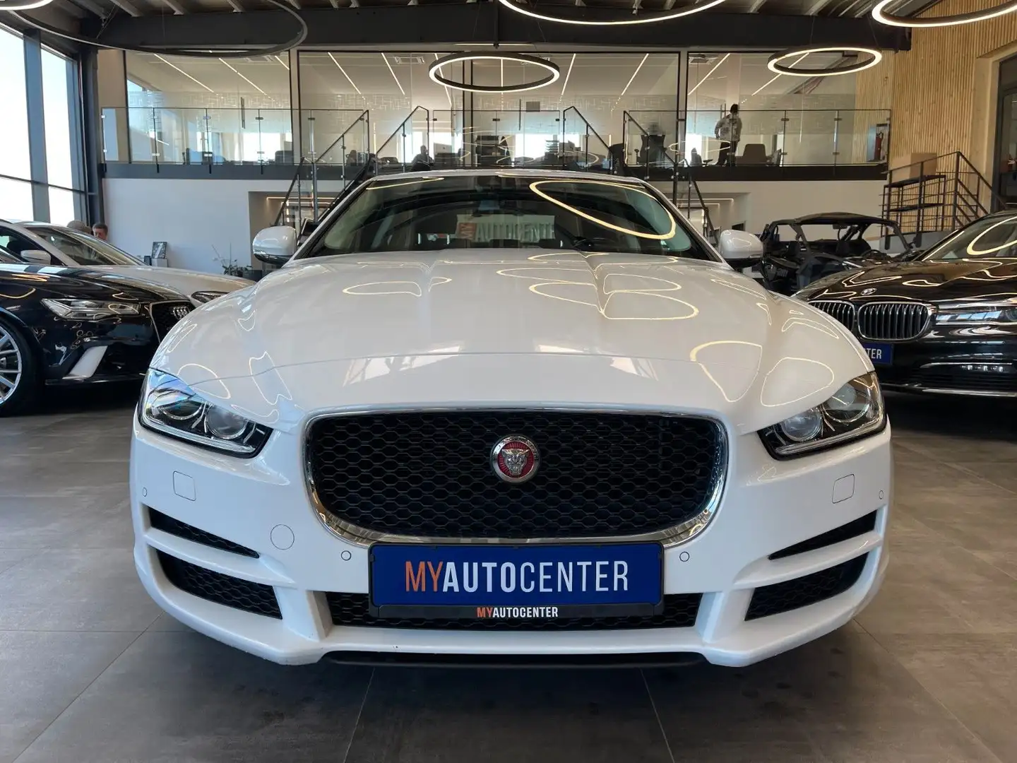 Jaguar XE Pure Lim. *NAVI*360°KAMERA*TEMPO*BI-XENON*PDC Weiß - 2