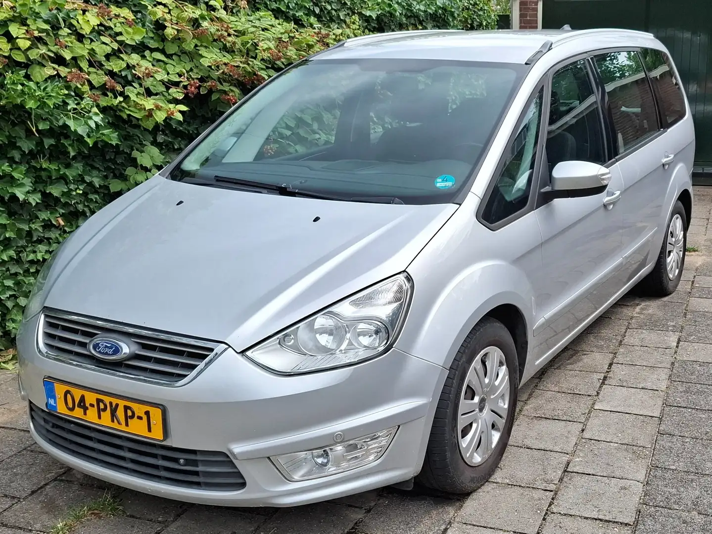 Ford Galaxy Galaxy 2.0 TDCi Trend Gris - 1