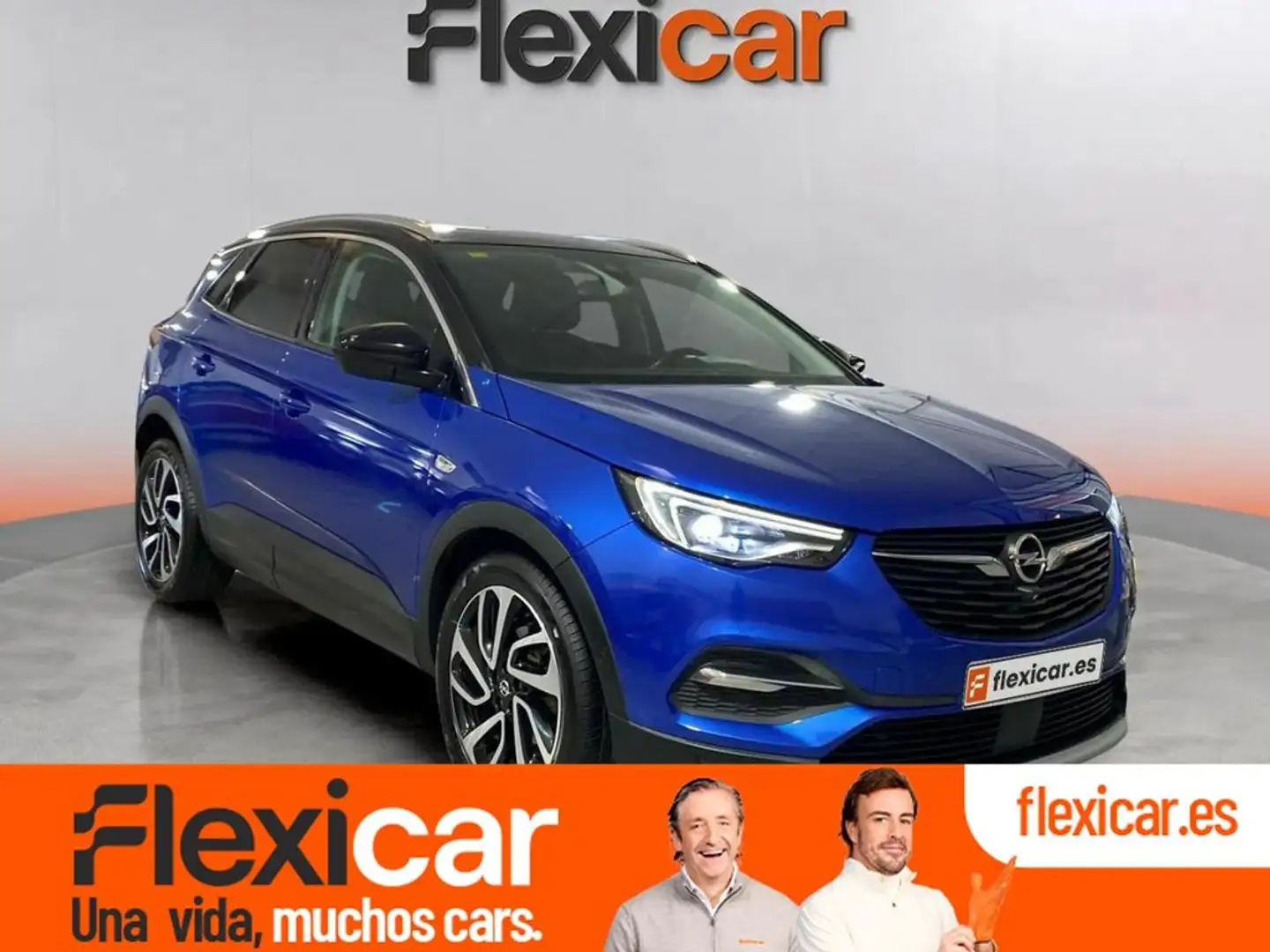Opel Grandland X 1.6 CDTi Excellence Auto Bleu - 1