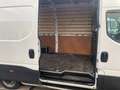 Iveco Daily L3H2 Wit - thumbnail 12