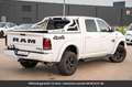Dodge RAM Sport Crew Cab 4x4 Tout compris hors homologation Blanc - thumbnail 14