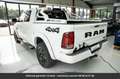 Dodge RAM Sport Crew Cab 4x4 Tout compris hors homologation Blanc - thumbnail 4
