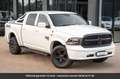 Dodge RAM Sport Crew Cab 4x4 Tout compris hors homologation Blanc - thumbnail 8