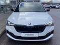 Skoda Scala 1.5 TSI DSG Monte Carlo 17"+EL.HECK+PANO+N Blanco - thumbnail 7