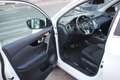 Nissan Qashqai 1.5 dci N-CONNECTA *PREZZO VERO* AUTOMATICA TETTO - thumbnail 19