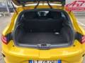 Renault Megane 1.8 TCE 300 CV RS TROPHY *Cambio Manuale* Gelb - thumbnail 27