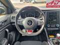 Renault Megane 1.8 TCE 300 CV RS TROPHY *Cambio Manuale* Gelb - thumbnail 13