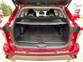Toyota Highlander 2.5 Luxury AHK,7Sitze,Pano Rouge - thumbnail 21