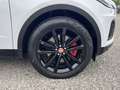 Jaguar E-Pace P250 AWD R-Dynamic Black Weiß - thumbnail 16