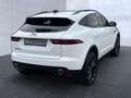 Jaguar E-Pace P250 AWD R-Dynamic Black Weiß - thumbnail 3
