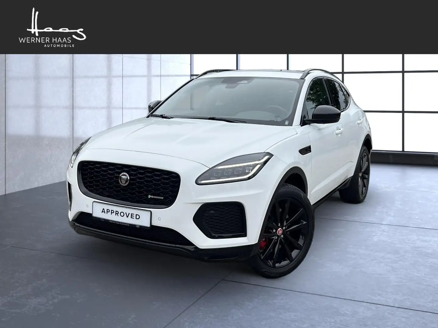 Jaguar E-Pace P250 AWD R-Dynamic Black Blanc - 1