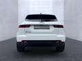 Jaguar E-Pace P250 AWD R-Dynamic Black Blanc - thumbnail 6