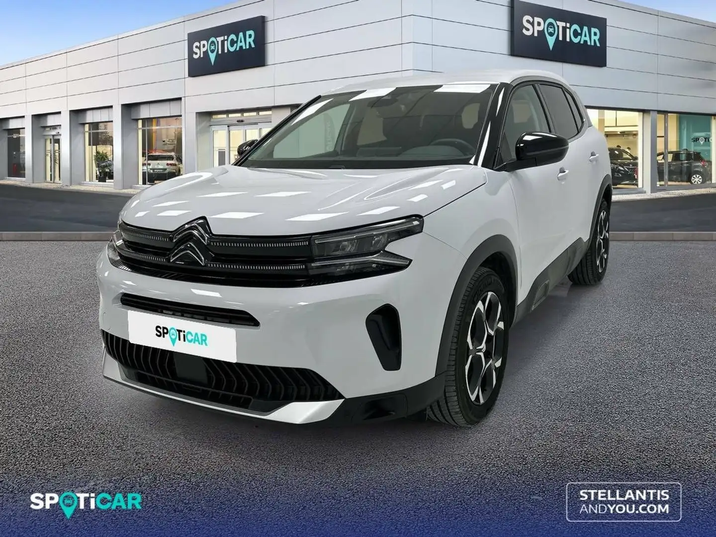 Citroen C5 Aircross BlueHDi S&S Plus EAT8 130 Blanco - 1