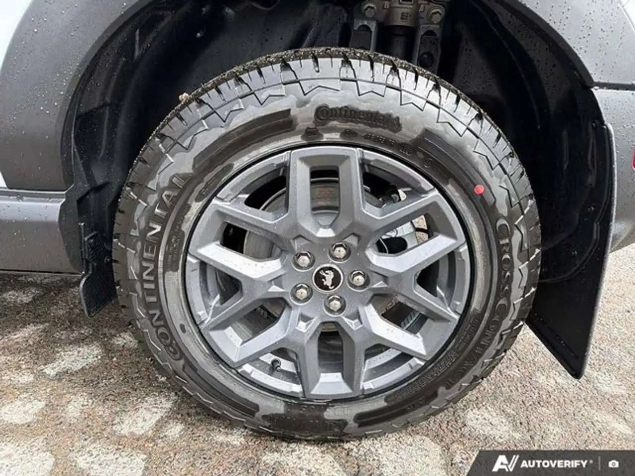 Ford Bronco Sport снимка Ford Bronco Sport
