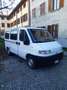 Fiat Ducato Panorama Bianco - thumbnail 1