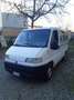 Fiat Ducato Panorama Bianco - thumbnail 2