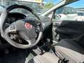 Fiat Punto Evo Punto III 2009 Evo 5p 1.2 Dynamic s Weiß - thumbnail 7