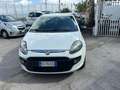 Fiat Punto Evo Punto III 2009 Evo 5p 1.2 Dynamic s Weiß - thumbnail 2