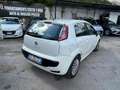 Fiat Punto Evo Punto III 2009 Evo 5p 1.2 Dynamic s Weiß - thumbnail 4