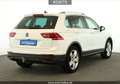 Volkswagen Tiguan Tiguan 1.5 TSI Move #AHL#19Zoll#Matrix-LED#360°# Weiß - thumbnail 6