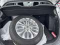 Suzuki SX4 S-Cross 1,6 CVT shine Grau - thumbnail 23