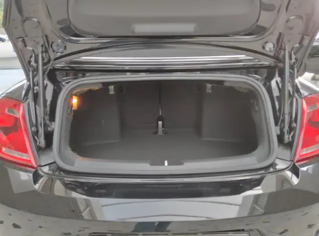 Volkswagen Beetle view 9