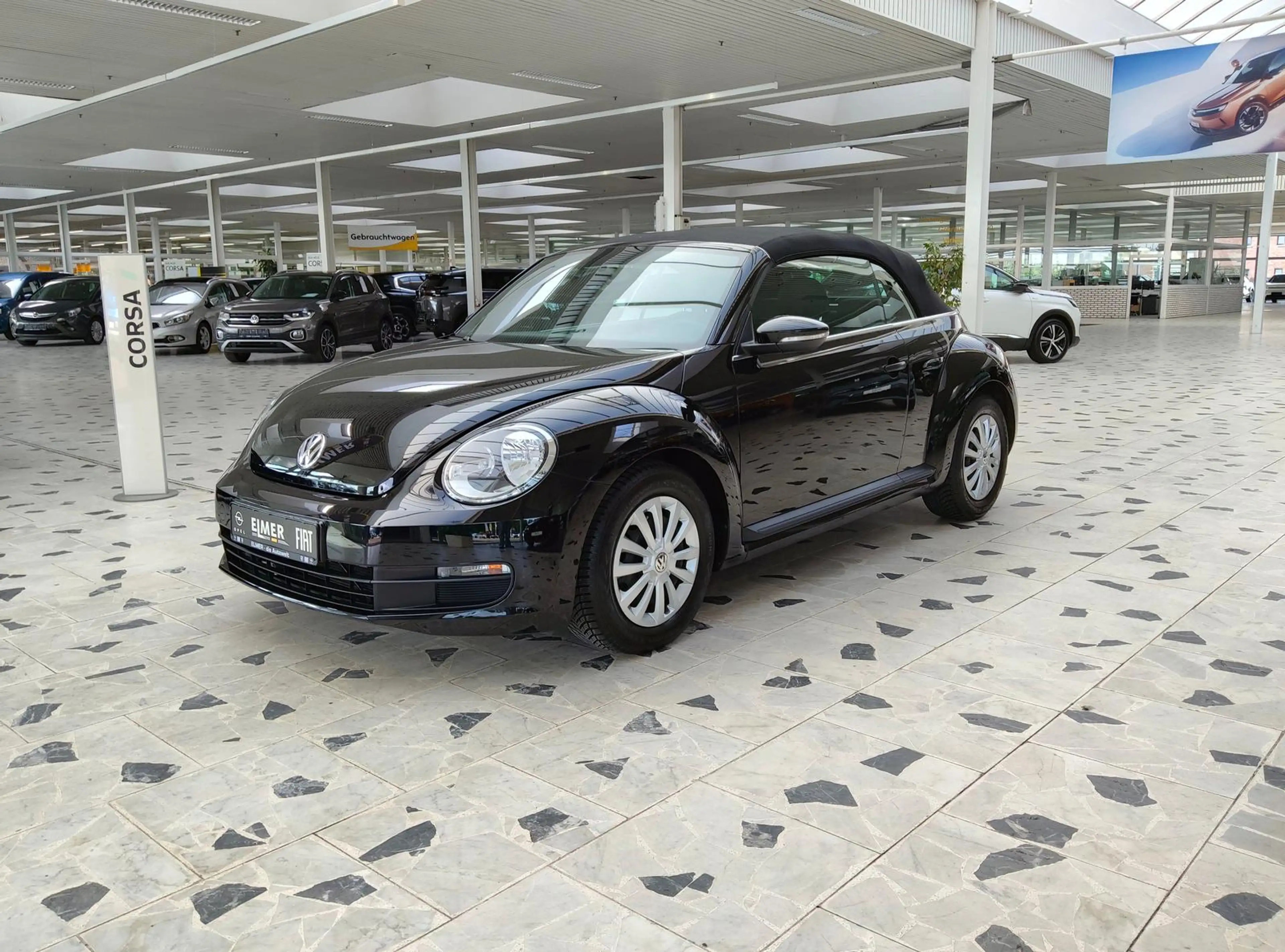 Volkswagen Beetle VW Beetle — photo 3