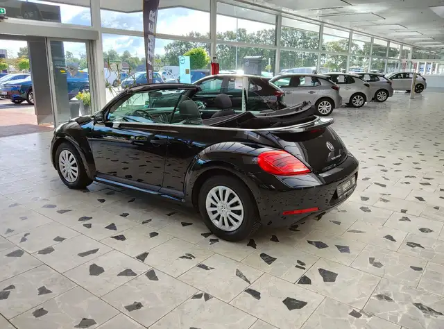 Volkswagen Beetle view 11