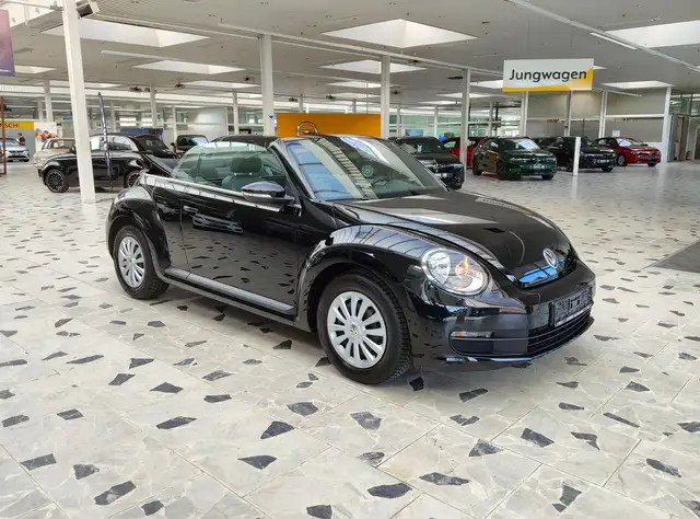 Volkswagen Beetle view 10