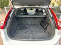 Volvo XC60 2.0 D3 150cv E6 Momentum 1 PROP-GARANZIA-KM CERT! Weiß - thumbnail 47