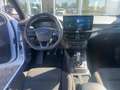 Ford Focus Turnier 1.0 ST-Line ACC+LED+Navi+DAB Blanc - thumbnail 11