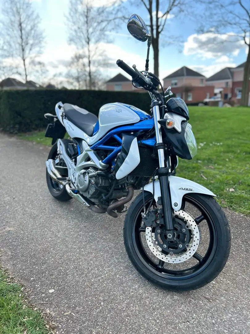 Suzuki Gladius 650 ABS Blanc - 1