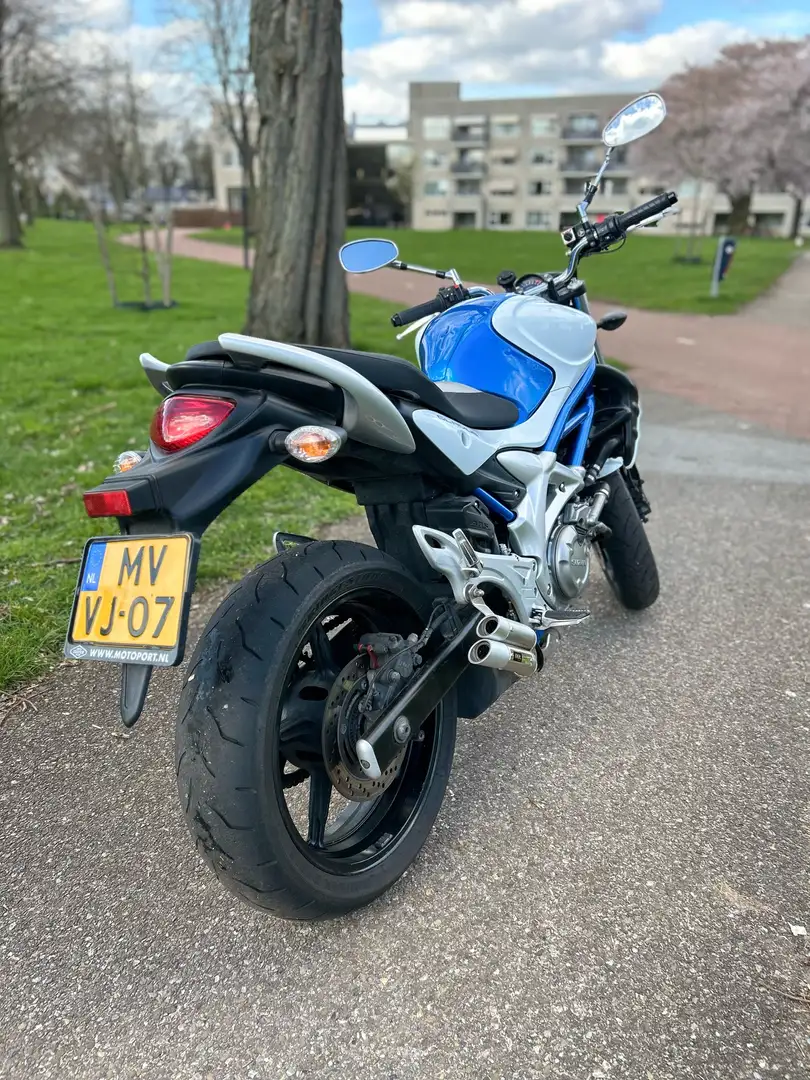 Suzuki Gladius 650 ABS bijela - 2